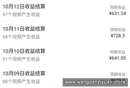 视频号蓝海小众玩法，老少皆宜的副业实操