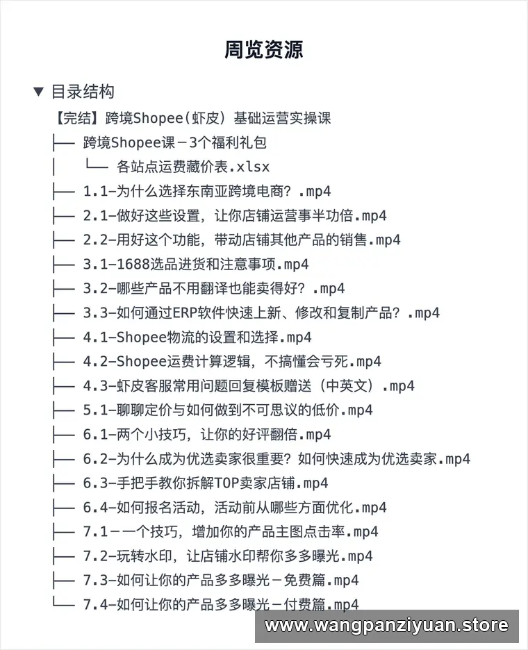 【完结】跨境Shopee(虾皮）基础运营实操课